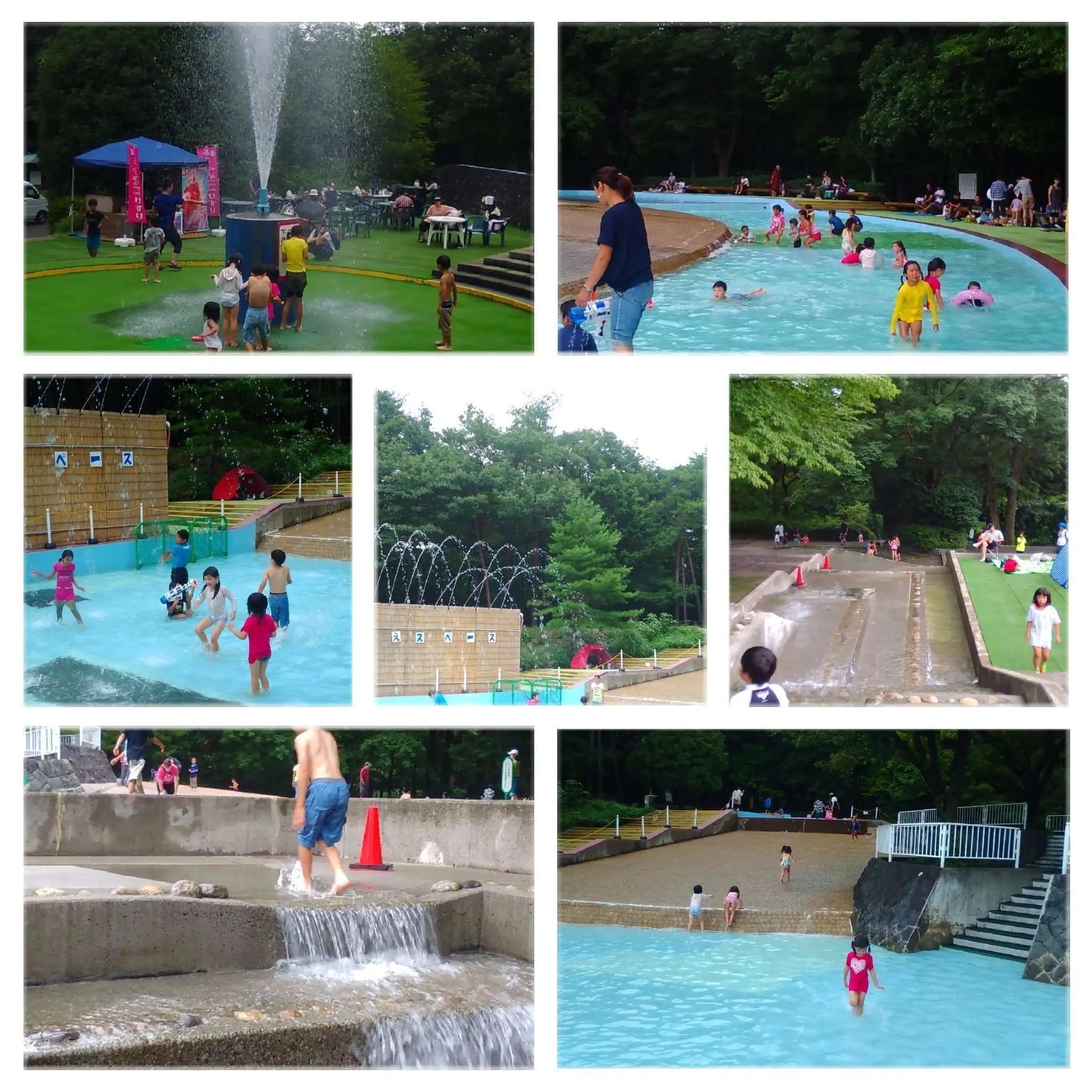 🌳 사가 현립 삼림공원(사가켄리쓰신린코엔) 이미지 5